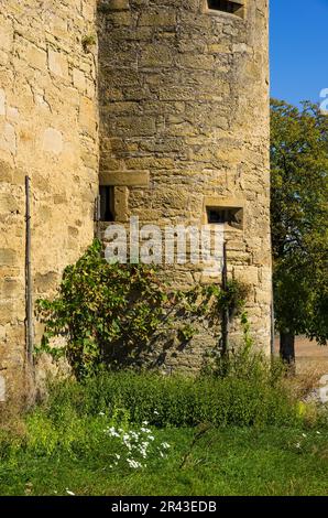 Außenansicht der Burg Ravensburg in Kraichgau bei Sulzfeld, Heilbronn, Baden-Württemberg, Deutschland, Festungsturm und Mauer. Stockfoto