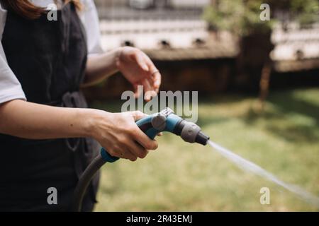 Handbewässerung des Rasens in der Nähe des Blumenladens. Nahaufnahme Stockfoto