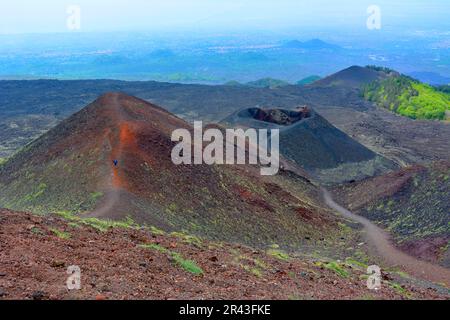 Italien, Italien, Sizilien, Ätna, Vulkanasche und Felsen, Pflanzenwachstum auf Lavaasche Stockfoto