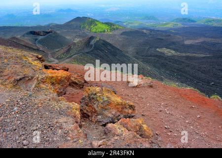 Italien, Italien, Sizilien, Ätna, Vulkanasche und Felsen, Pflanzenwachstum auf Lavaasche Stockfoto