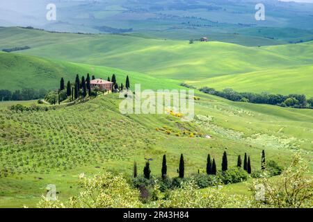 Ackerland unter Pienza in der Toskana Stockfoto