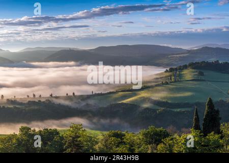 Am frühen Morgen im Val d'Orcia Stockfoto