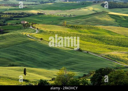 Ackerland unter Pienza in der Toskana Stockfoto