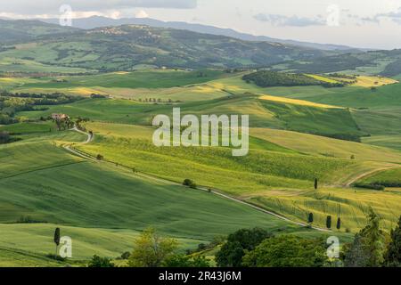 PIENZA, TOSKANA, ITALIEN - MAI 19 : Ackerland unterhalb von Pienza in der Toskana, Italien am 19. Mai 2013 Stockfoto