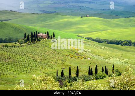 Ackerland unter Pienza in der Toskana Stockfoto