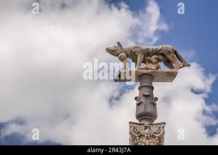 SIENNA, TOSKANA, ITALIEN - MAI 18 : She-Wolf saugende Säuglinge Romulus und Remus in der Nähe der Siena-Kathedrale in Siena, Toskana, Italien am 18. Mai 2013 Stockfoto