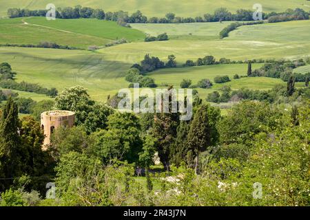 PIENZA, TOSKANA, ITALIEN - MAI 18 : Landschaft des Val d'Orcia in der Nähe von Pienza Italien am 18. Mai 2013 Stockfoto