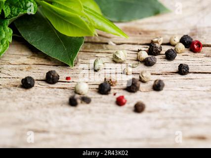 Frische Küchenkräuter in Bündeln, bestehend aus Thymian, Lorbeerblatt, Salbei und Rosmarin Stockfoto