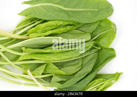 Frische rohe grüne Sorrel-Blätter (Rumex acetosa) liegen zum Kochen auf einem weißen Teller Stockfoto