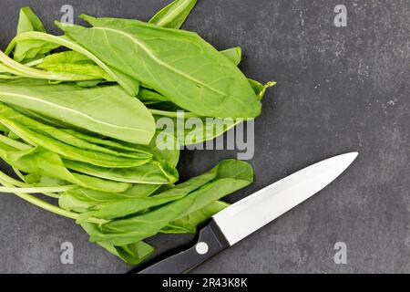 Frische rohe grüne Sorrel-Blätter (Rumex acetosa) liegen auf einer schwarzen Schiefertafel Stockfoto