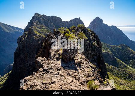 Spannender Balanceakt auf der Wanderung entlang des Calzada de los Antiguos Trails, umgeben von tiefen Abgründen auf beiden Seiten, die zu den Gipfeln des Pico Yeje führen Stockfoto