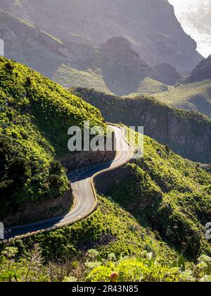 Die gewundene Teno Mountain Road TF-436 bietet in jeder Kurve malerische Ausblicke auf die atemberaubende Küste und das üppige Grün, was sie zu einem perfekten Roadtrip macht Stockfoto