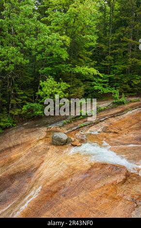 Franconia Notch State Park in New Hampshire Stockfoto