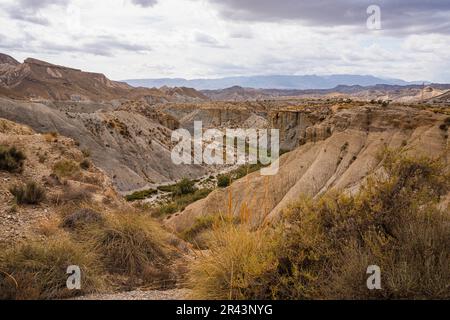 Barranco del Cautivo, Tabernas Desert, Tabernas, Spanien Stockfoto