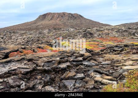 Chinese hat Island vor Santiago Island, Galapagos, Ecuador, UNESCO-Weltkulturerbe Stockfoto