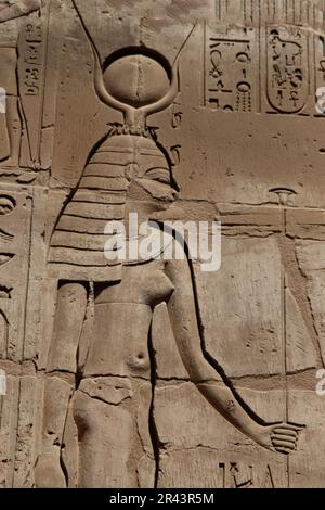 Alte ägyptische Schnitzereien und Wandreliefs am Tempel von Karnak, Luxor, Ägypten Stockfoto