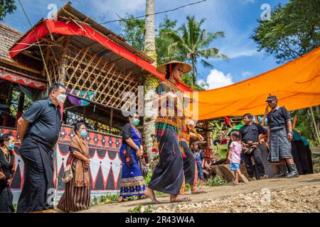 Toraja Beerdigungszeremonie, Tana Toraja, Sulawesi, Indonesien Stockfoto