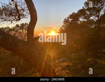 Wunderschöner Sonnenuntergang vom Kloster Santuari de Sant Salvador, Felanitx, Mallorca, Mallorca, Balearen, Spanien. Stockfoto