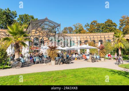 Café im Botanischen Garten, Schlossgarten, Karlsruhe, Baden-Württemberg, Deutschland, Karlsruhe, Baden-Württemberg, Deutschland Stockfoto