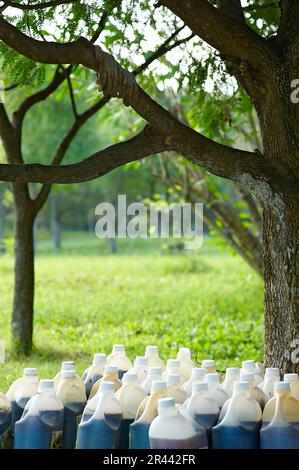 Weggeworfene Abfallflaschen aus unter einem Baum in der Natur zurückgelassenen Arzneimitteln Stockfoto