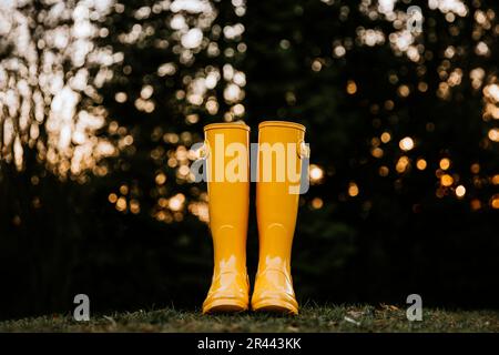 Tiefer Winkel von gelben Regenstiefeln auf Gras Stockfoto