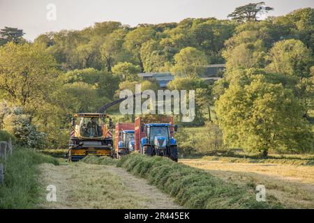 John O'Donovan Agri hackende Silage mit Blick auf Courtmacsherry Bay. Stockfoto