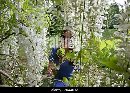 Fünf maßgeschneiderte neue Pfade rund um die Kew Gardens sind am Samstag, den 27. Mai für die Öffentlichkeit geöffnet und bieten Menschen Gelegenheit, die freie Natur zu erkunden und Zeit in der Natur zu verbringen. Die neuen Pfade sind Adventurer , Wanderer, Time Traveller , Protector und Dreamer mit inspirierenden Beiträgen von Künstlern, Denkern und Aktivisten . Stockfoto