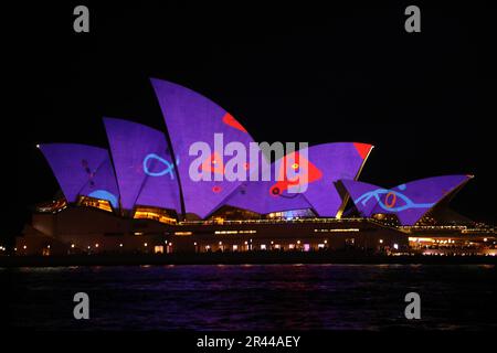 Sydney, Australien. 26. Mai 2023 Vivid Sydney ist ein jährliches Fest der Kreativität, Innovation und Technologie, das Sydney für 23 Tage und Nächte verwandelt. Im Jahr 2023, 13. Jahre lang, wird Vivid Sydney Kunst, Innovation und Technologie in Zusammenarbeit mit einigen der innovativsten Künstler, Denker, Musiker und kulinarischen Experten unserer Zeit verbinden. Das Programm „Licht, Ideen, Musik und Essen“ läuft vom 26. Mai bis 17. Juni 2023. Abbildung: Opernhaus Von Sydney. Kredit: Richard Milnes/Alamy Live News Stockfoto