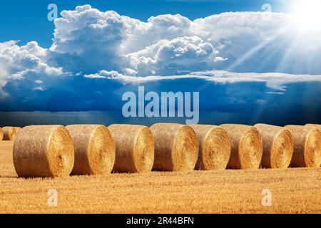 Eine Reihe goldener Heuballen an einem sonnigen Sommertag mit einem wunderschönen blauen Himmel mit Kumuluswolken (Cumulonimbus) im Hintergrund, Padan Plain oder Po Valley. Stockfoto