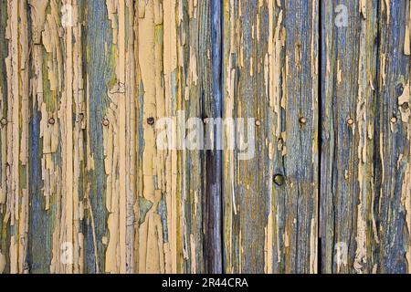 Verwitterte alte Holzfläche mit abblätternder gelber Farbe Stockfoto