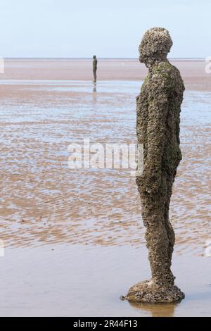 Ein weiterer Ort, Skulpturen, Antony Gormley, 2007, Crosby Strand, Southport, Merseyside, Lancashire, England, Großbritannien, Stockfoto