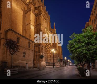 Kathedrale von Sevilla bei Nacht mit Haupteingang - Himmelstür (Puerta de la Asuncion) - Sevilla, Andalusien, Spanien Stockfoto