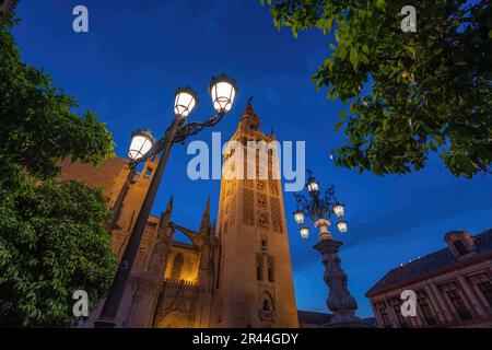 La Giralda bei Nacht - Sevilla Cathedral Tower - Sevilla, Andalusien, Spanien Stockfoto