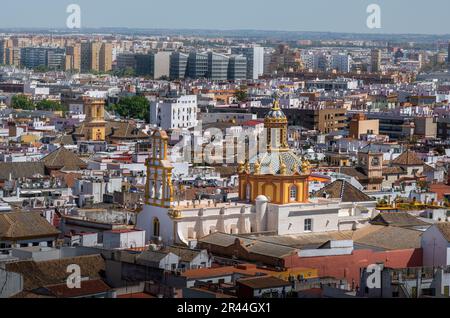 Blick auf Sevilla aus der Vogelperspektive mit Santa Cruz Kirche - Sevilla, Andalusien, Spanien Stockfoto