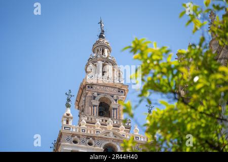 La Giralda - Sevilla Cathedral Tower - Sevilla, Andalusien, Spanien Stockfoto