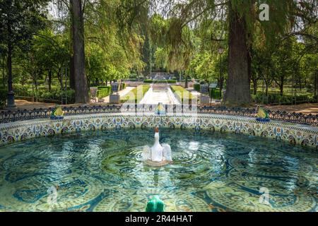 Fuente de las Ranas (Froschbrunnen) im Maria Luisa Park - Sevilla, Andalusien, Spanien Stockfoto