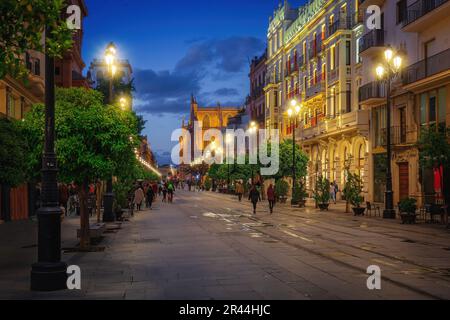 Avenida de la Constitucion Straße bei Nacht mit Sevilla Kathedrale - Sevilla, Andalusien, Spanien Stockfoto