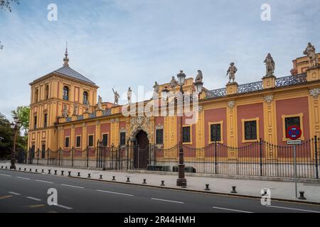 Palast von San Telmo - andalusisches Autonomes Präsidentengebäude der Regierung - Sevilla, Andalusien, Spanien Stockfoto