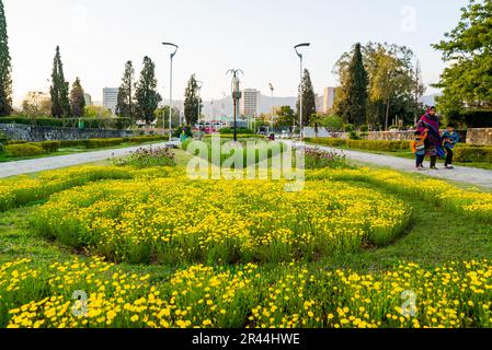 Entdecken Sie die üppig grüne Oase der Parks von Islamabad. Stockfoto