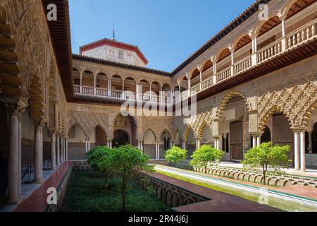 Jungdens Courtyard (Patio de las Doncellas) in Alcazar (Königlicher Palast von Sevilla) - Sevilla, Andalusien, Spanien Stockfoto