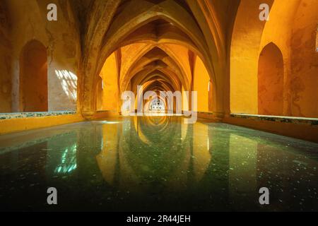 Maria de Padilla-Bäder (Banos de Maria de Padilla) in den Alcazar-Gärten (Königlicher Palast von Sevilla) - Sevilla, Andalusien, Spanien Stockfoto