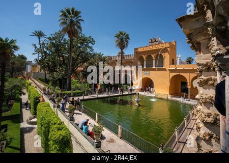 Quecksilberteich (Estanque de Mercurio) in den Alcazar Gärten (Königlicher Palast von Sevilla) - Sevilla, Andalusien, Spanien Stockfoto