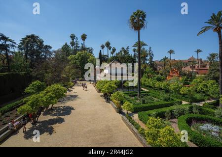 Garten der Alkoven (Jardin de la Alcoba) und Karl V Pavillon in Alcazar (Königlicher Palast von Sevilla) - Sevilla, Andalusien, Spanien Stockfoto