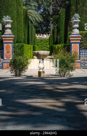 Garten des Inclan Marquis de La Vega (Jardin del Marques de la Vega Inclan) in Alcazar (Königlicher Palast von Sevilla) - Sevilla, Andalusien, Spanien Stockfoto