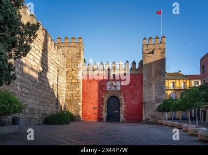 Löwentor (Puerta del Leon) - Alcazar Haupteingang (Königlicher Palast von Sevilla) - Sevilla, Andalusien, Spanien Stockfoto