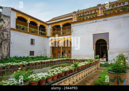 Kleiner Garten (Jardin Chico) im Inneren des Casa de Pilatos (Pilates Haus) Palastes - Sevilla, Andalusien, Spanien Stockfoto