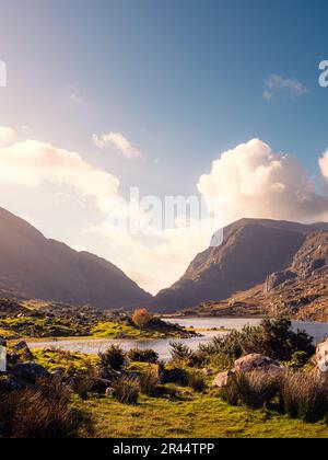 Sonnenlicht am Gap of Dunloe im Killarney National Park, County Kerry, Irland. Grasfelder und Black Lake sind im Vordergrund mit einem einsamen Baum. Stockfoto