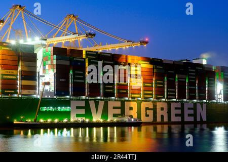 Niederlande, Rotterdam: Das Containerschiff von Evergreen hat im Amazonehaven-Einzugsgebiet schon oft angedockt Stockfoto
