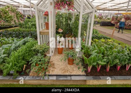 Royal Hospital Chelsea, London, Großbritannien. 22. Mai 2023 Ein perfekter Gemüsegarten im Großen Pavillon. Kredit: Malcolm Park/Alamy Stockfoto