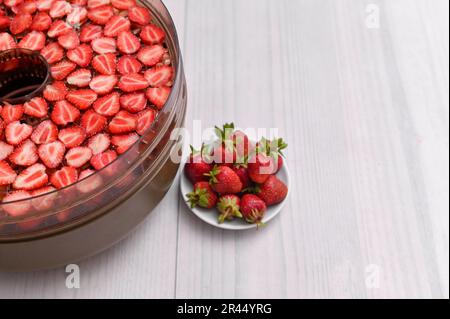 Trockengerät zum Trocknen von Beeren. Trocknen Sie die Erdbeeren in Scheiben. Stockfoto